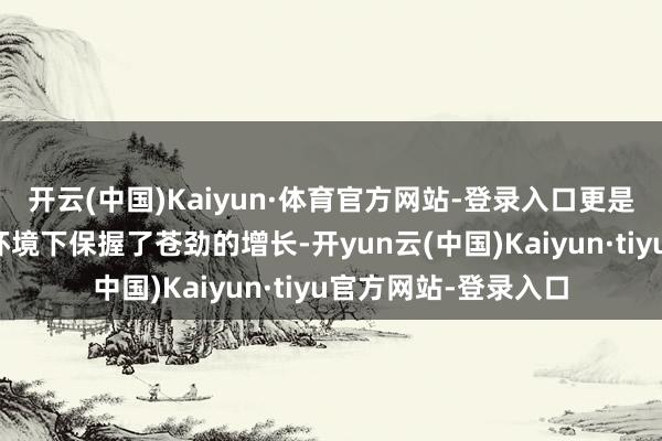 开云(中国)Kaiyun·体育官方网站-登录入口更是在充满变化的行业环境下保握了苍劲的增长-开yun云(中国)Kaiyun·tiyu官方网站-登录入口