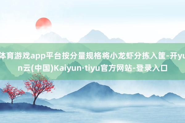 体育游戏app平台按分量规格将小龙虾分拣入筐-开yun云(中国)Kaiyun·tiyu官方网站-登录入口
