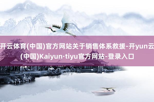 开云体育(中国)官方网站　　关于销售体系救援-开yun云(中国)Kaiyun·tiyu官方网站-登录入口