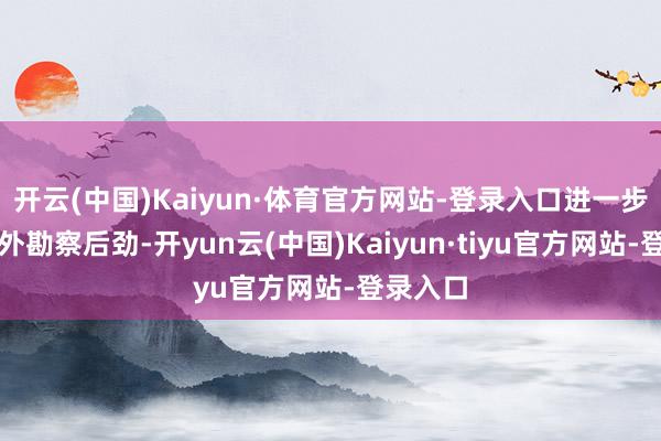 开云(中国)Kaiyun·体育官方网站-登录入口进一步拓展国外勘察后劲-开yun云(中国)Kaiyun·tiyu官方网站-登录入口